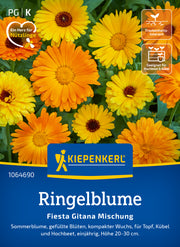 Ringelblume Fiesta Gitana Mischung