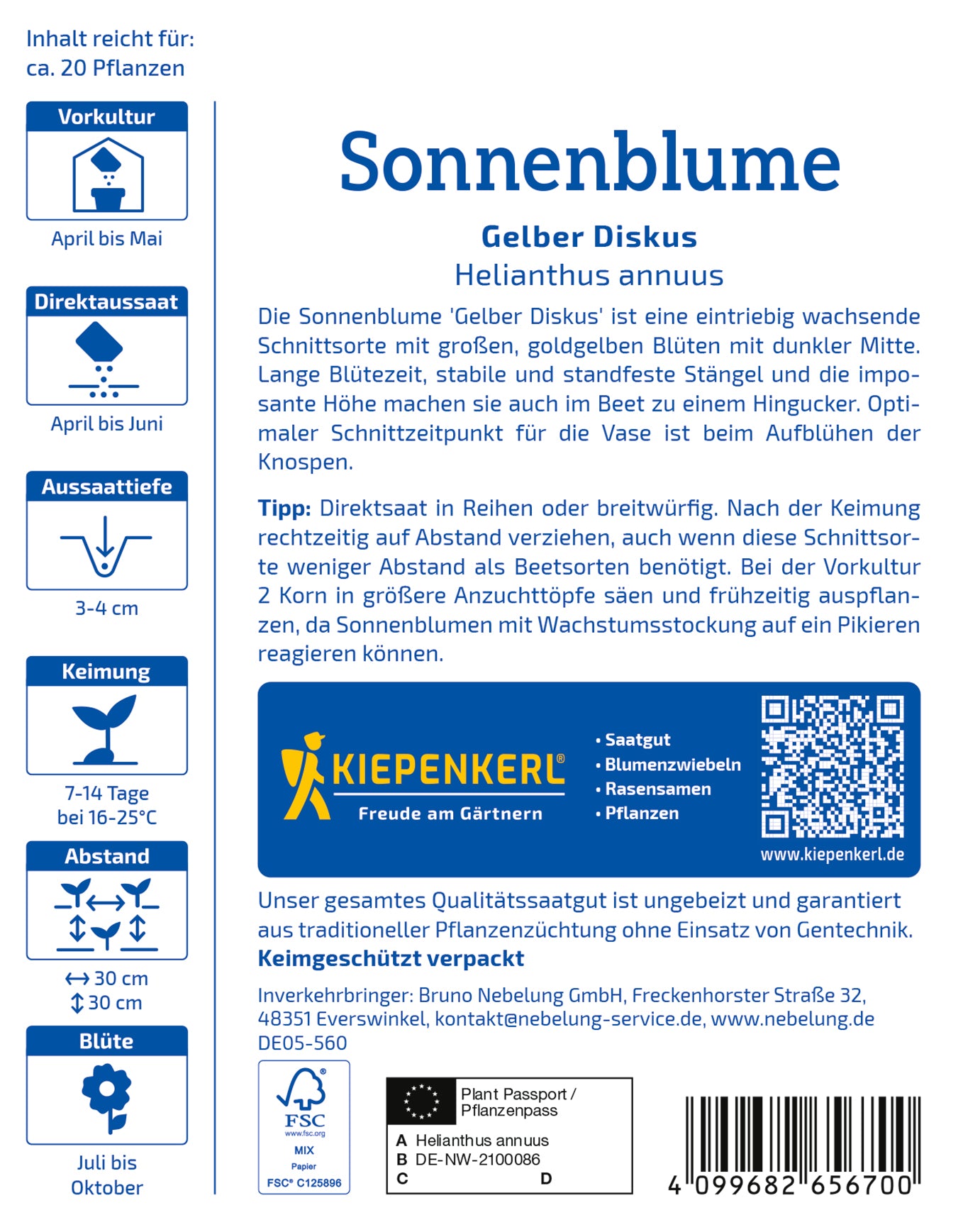 Sonnenblume Gelber Diskus