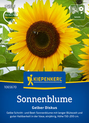 Sonnenblume Gelber Diskus