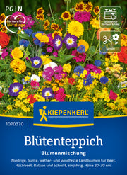 Blumenmischung Blütenteppich