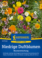 Blumensamen-Mischung Niedrige Duftblumen