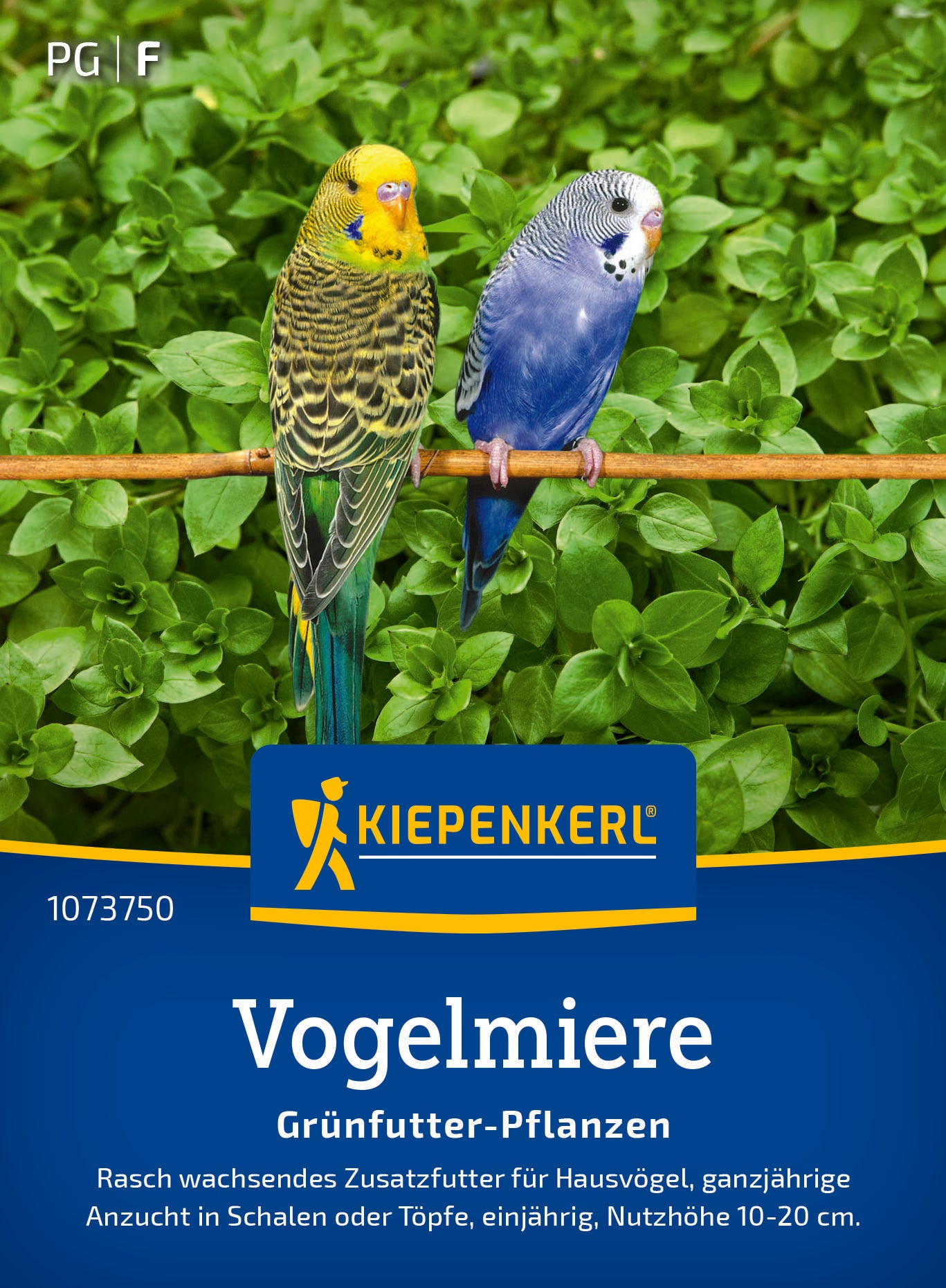 Vogelmieresamen Frischgrün-Futter