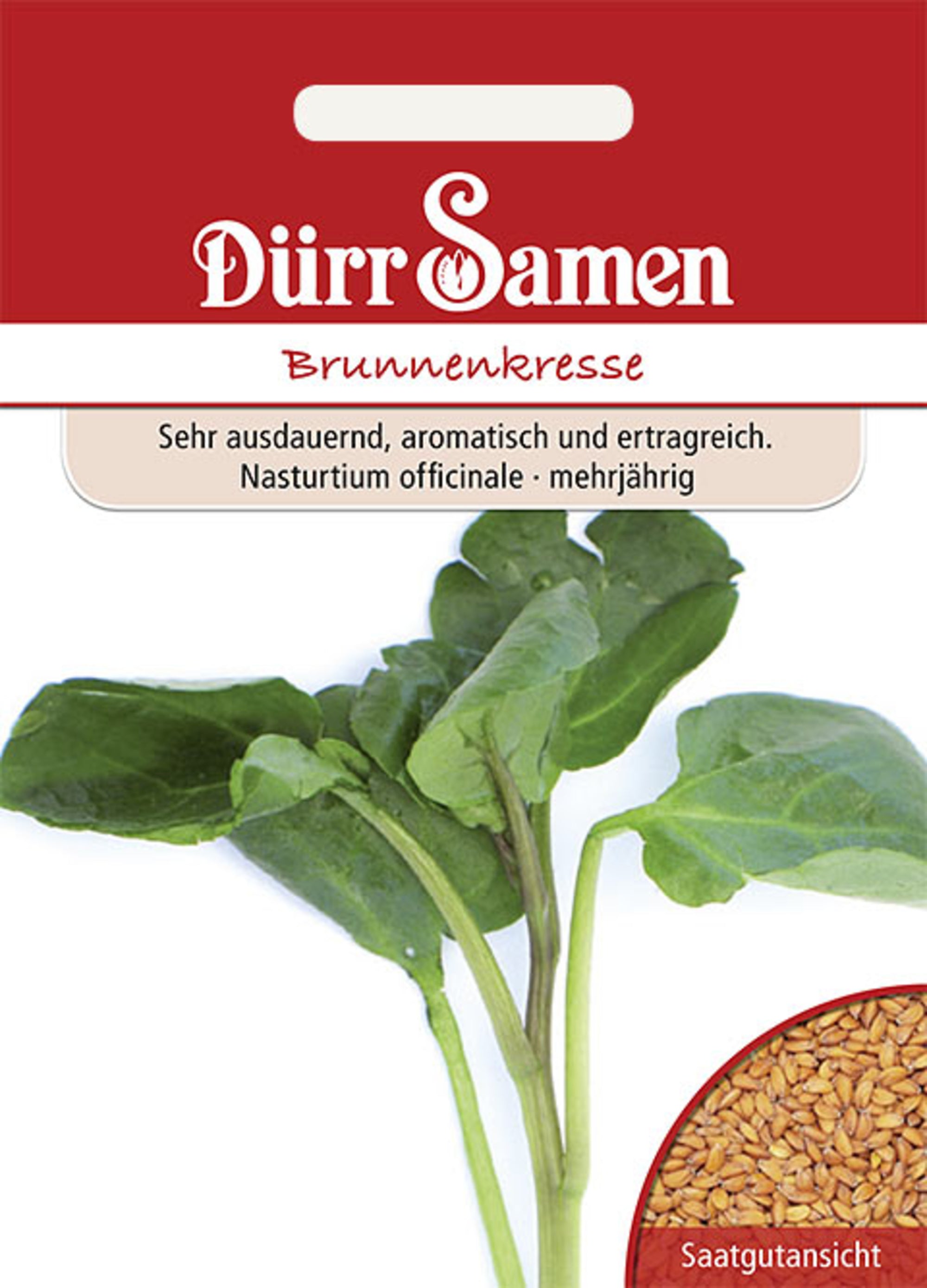 Brunnenkresse