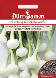 Frühlingszwiebeln Vaugirard Weiße