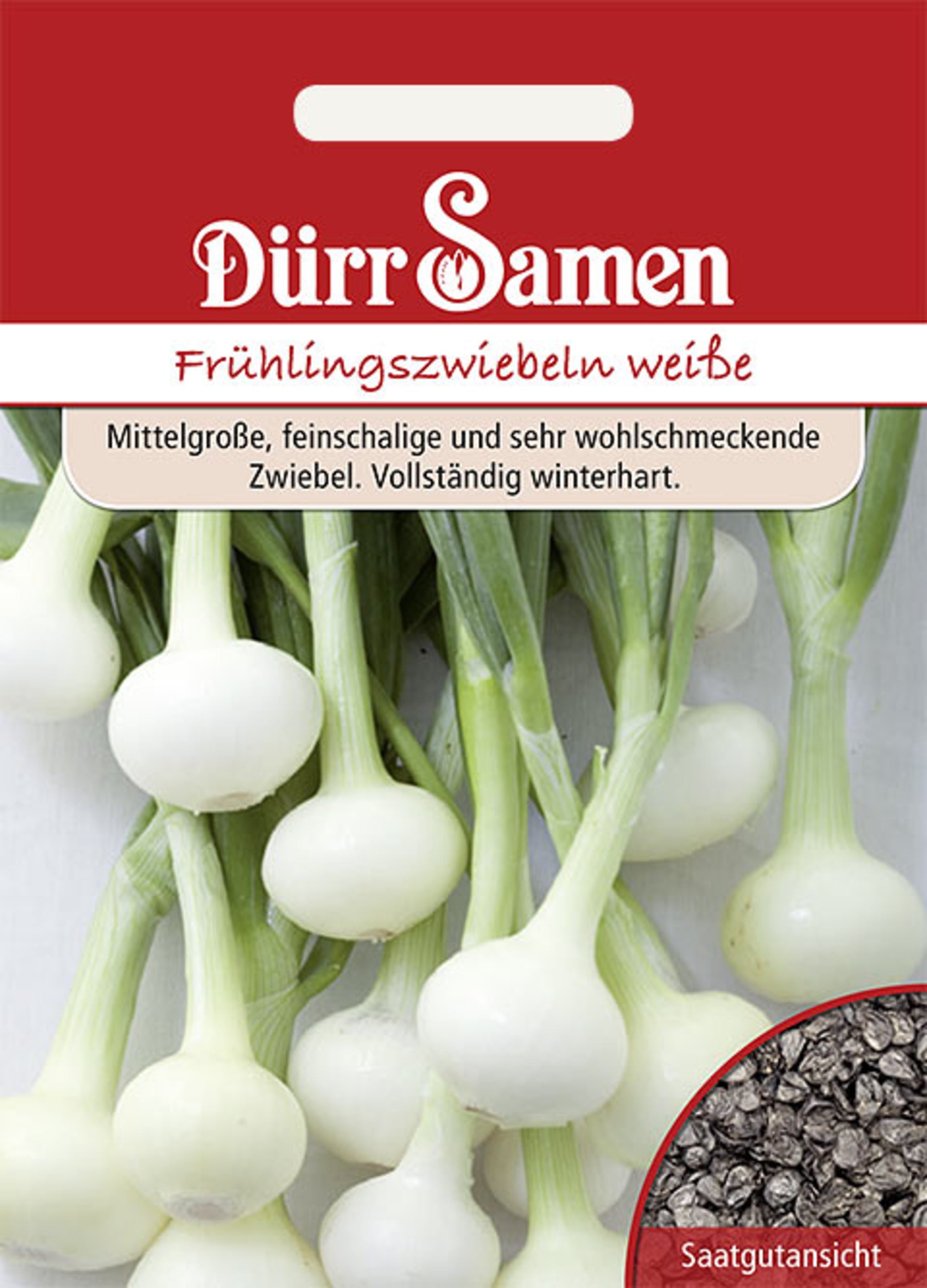 Frühlingszwiebeln Vaugirard Weiße