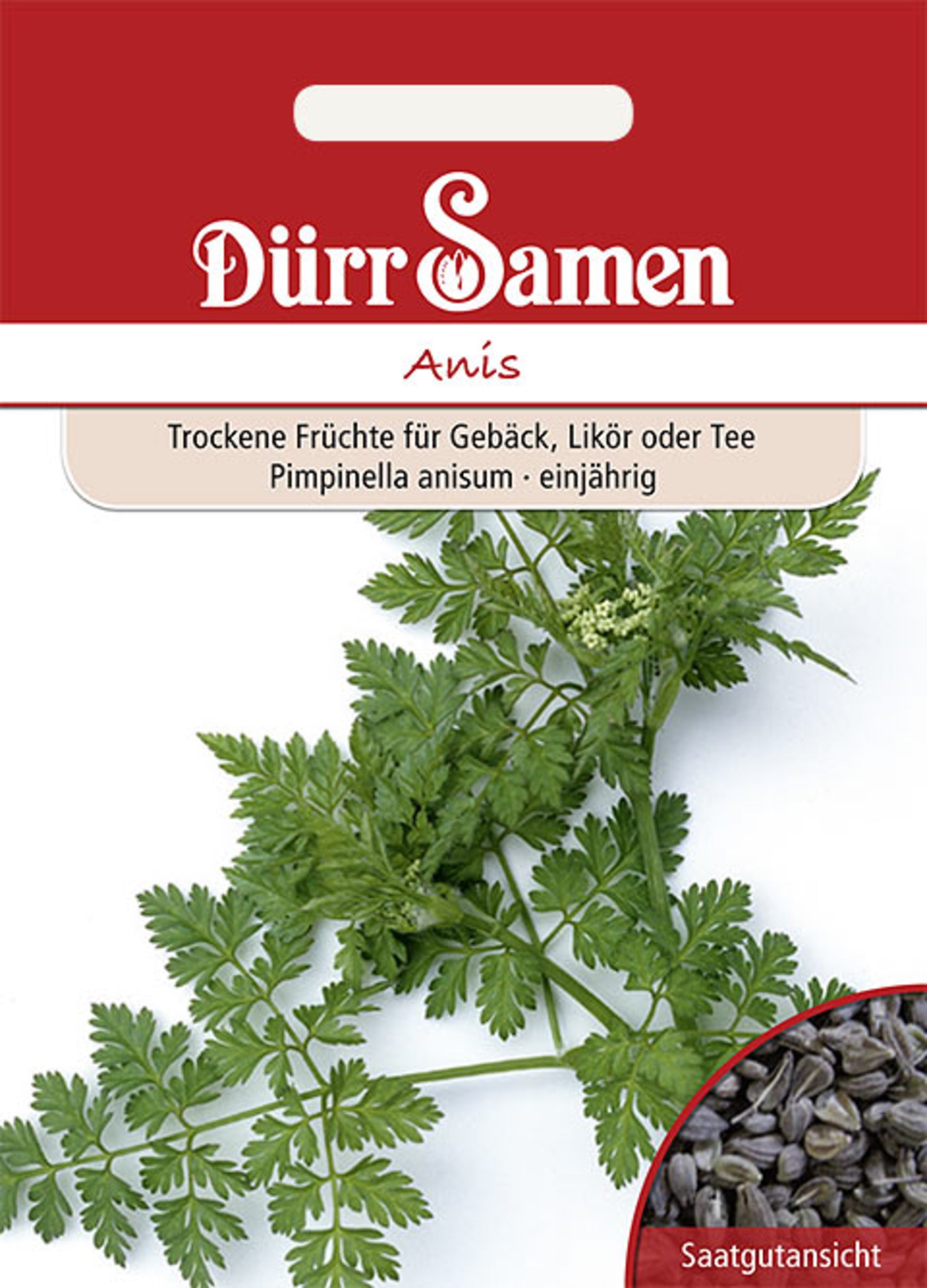 Anis