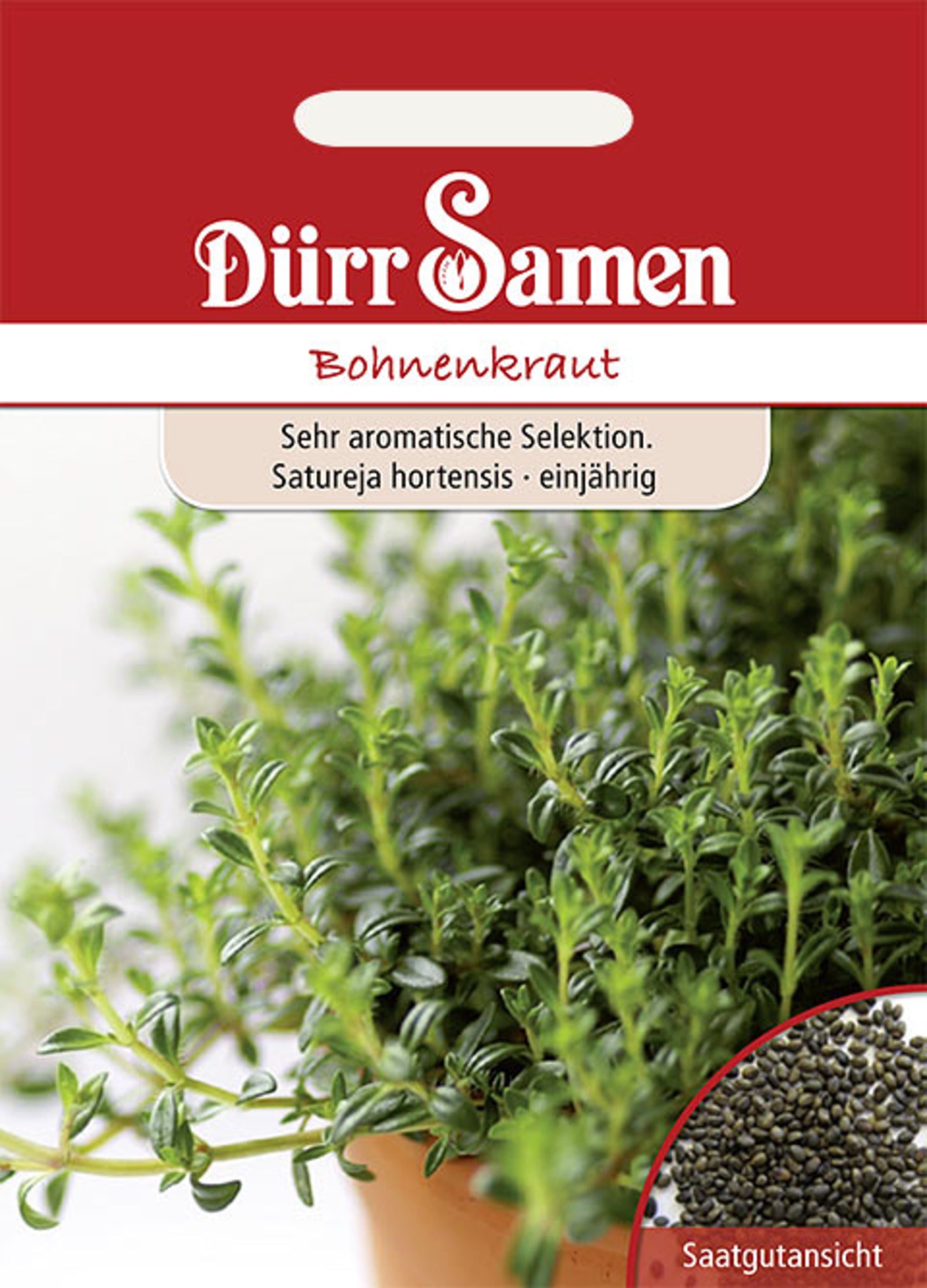 Bohnenkraut