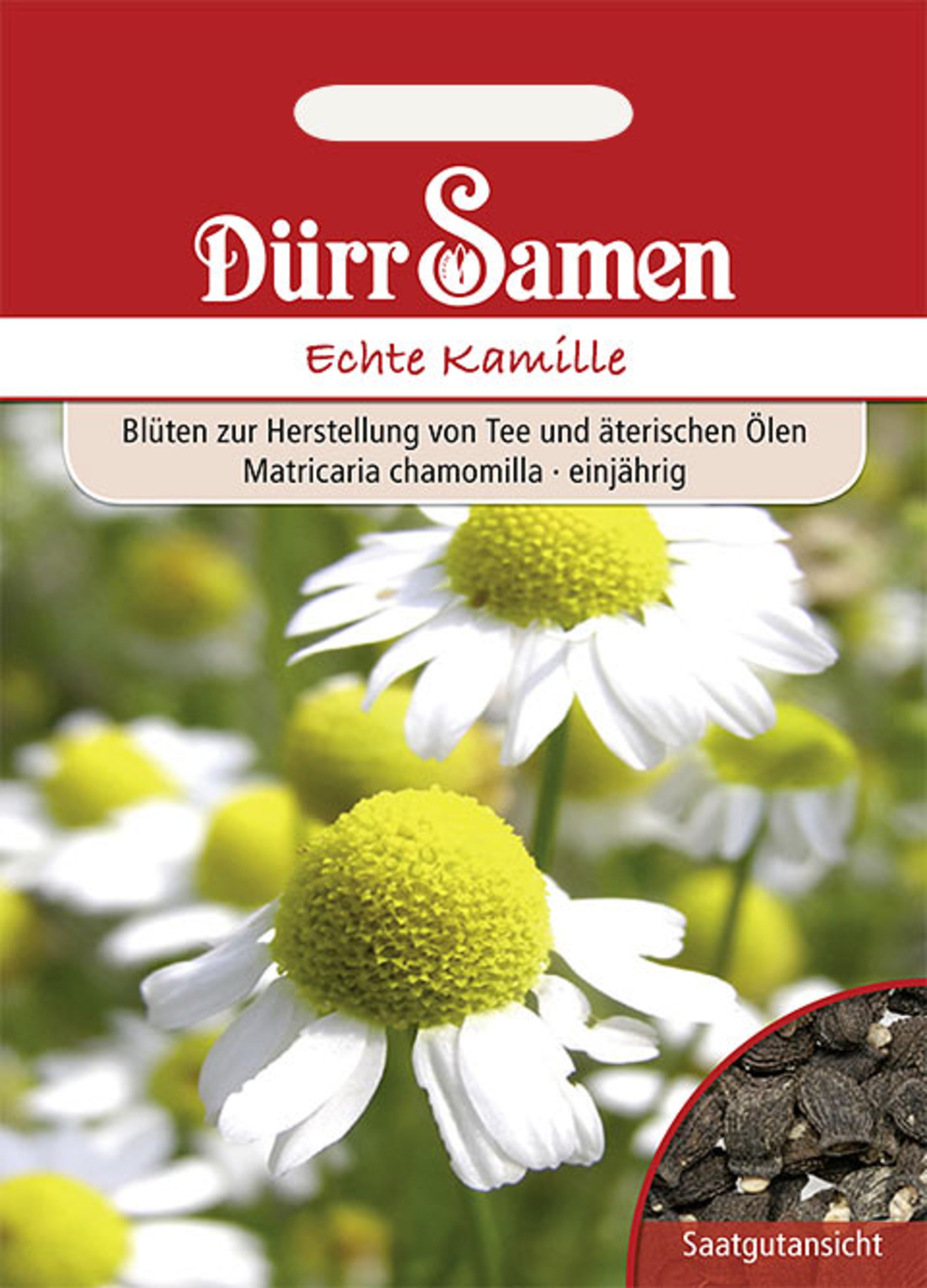 Kamille Echte