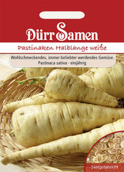 Pastinaken Halblange weiße