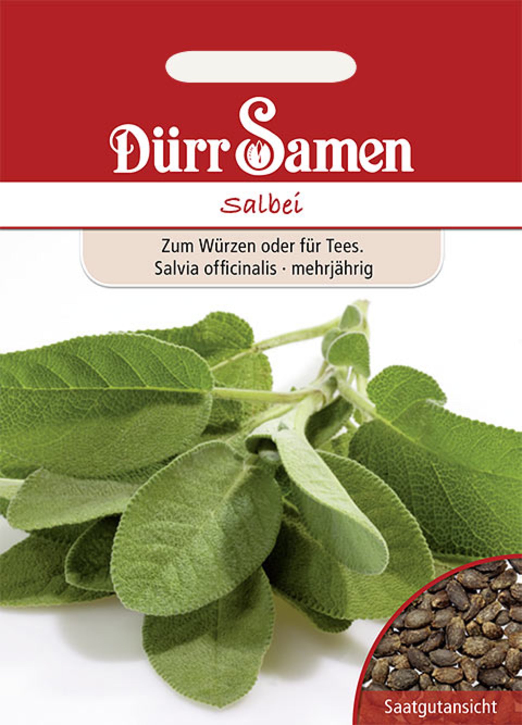 Salbei