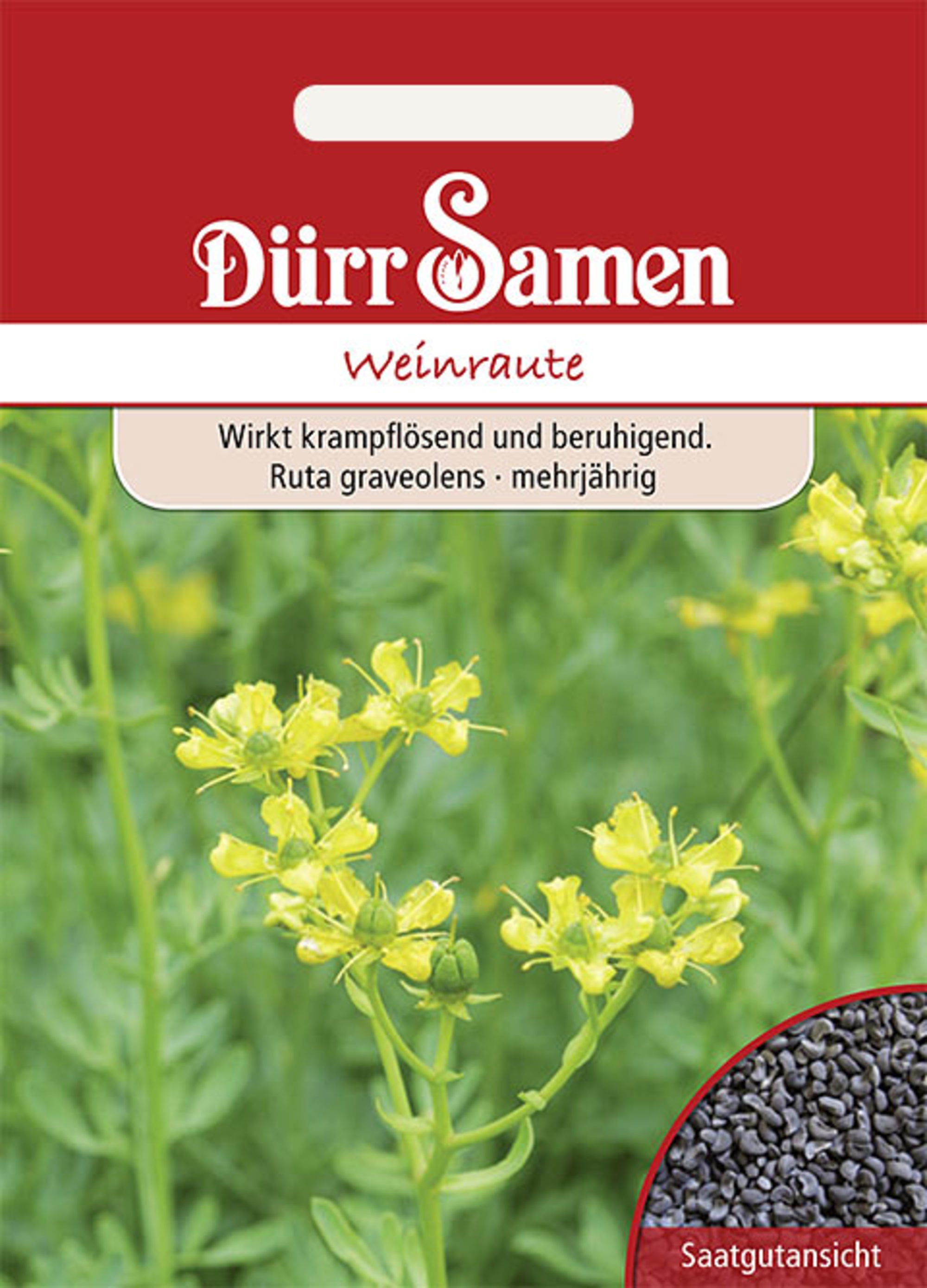 Weinraute