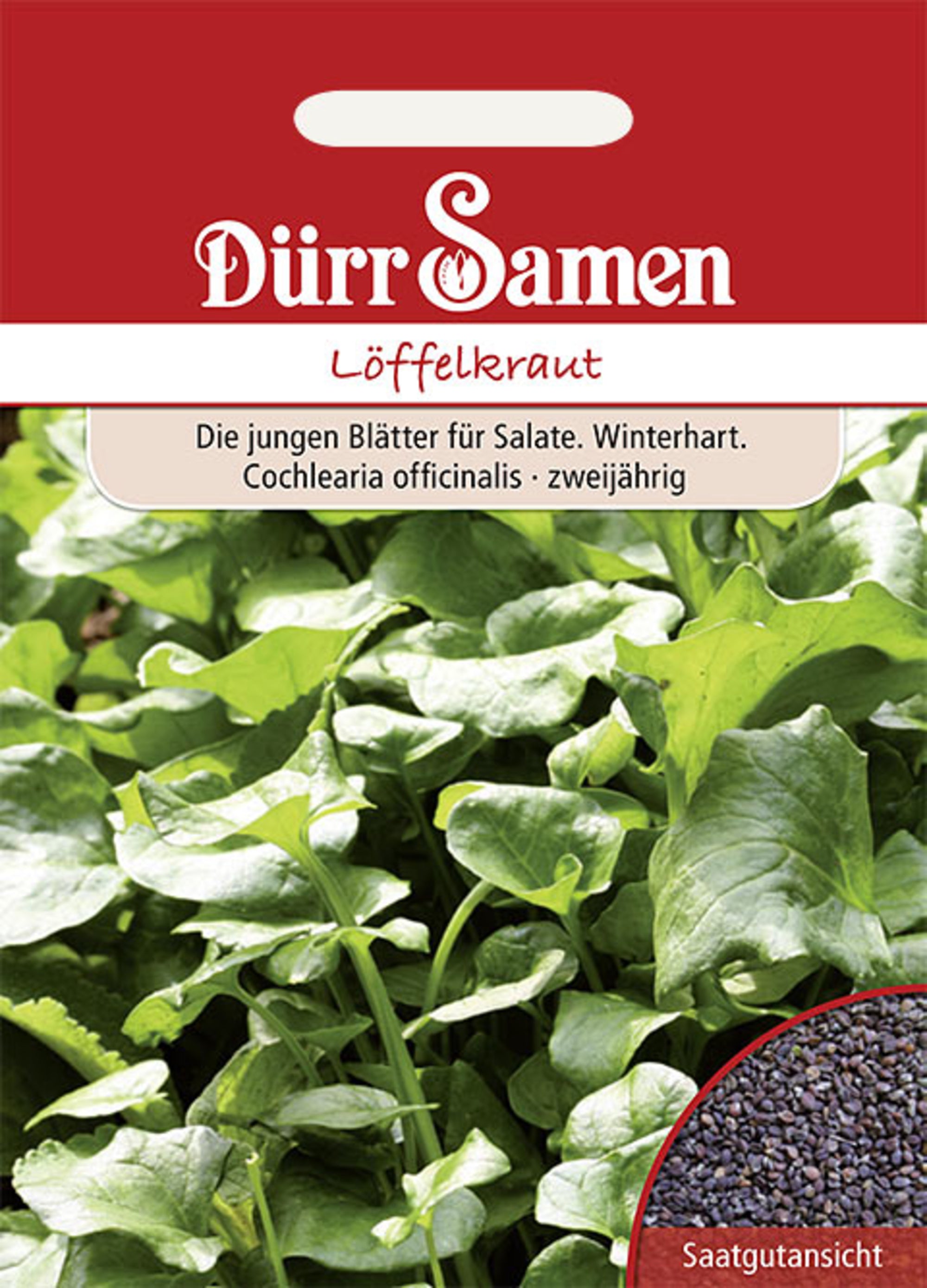 Löffelkraut