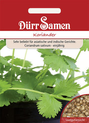 Koriander