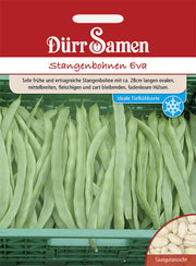 Stangenbohnen Eva
