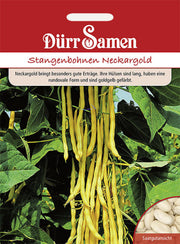 Stangenbohne Neckargold Saatgut