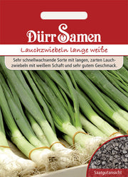 Lauchzwiebeln Lange Weiße Kaigaroo