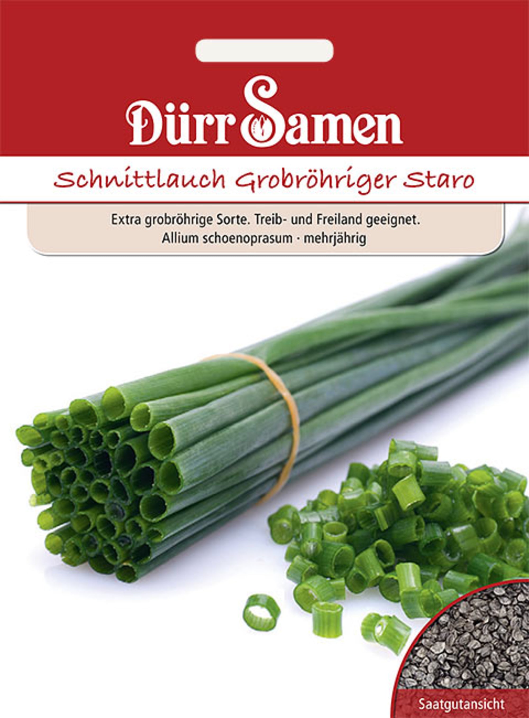 Schnittlauch Staro grobröhrig