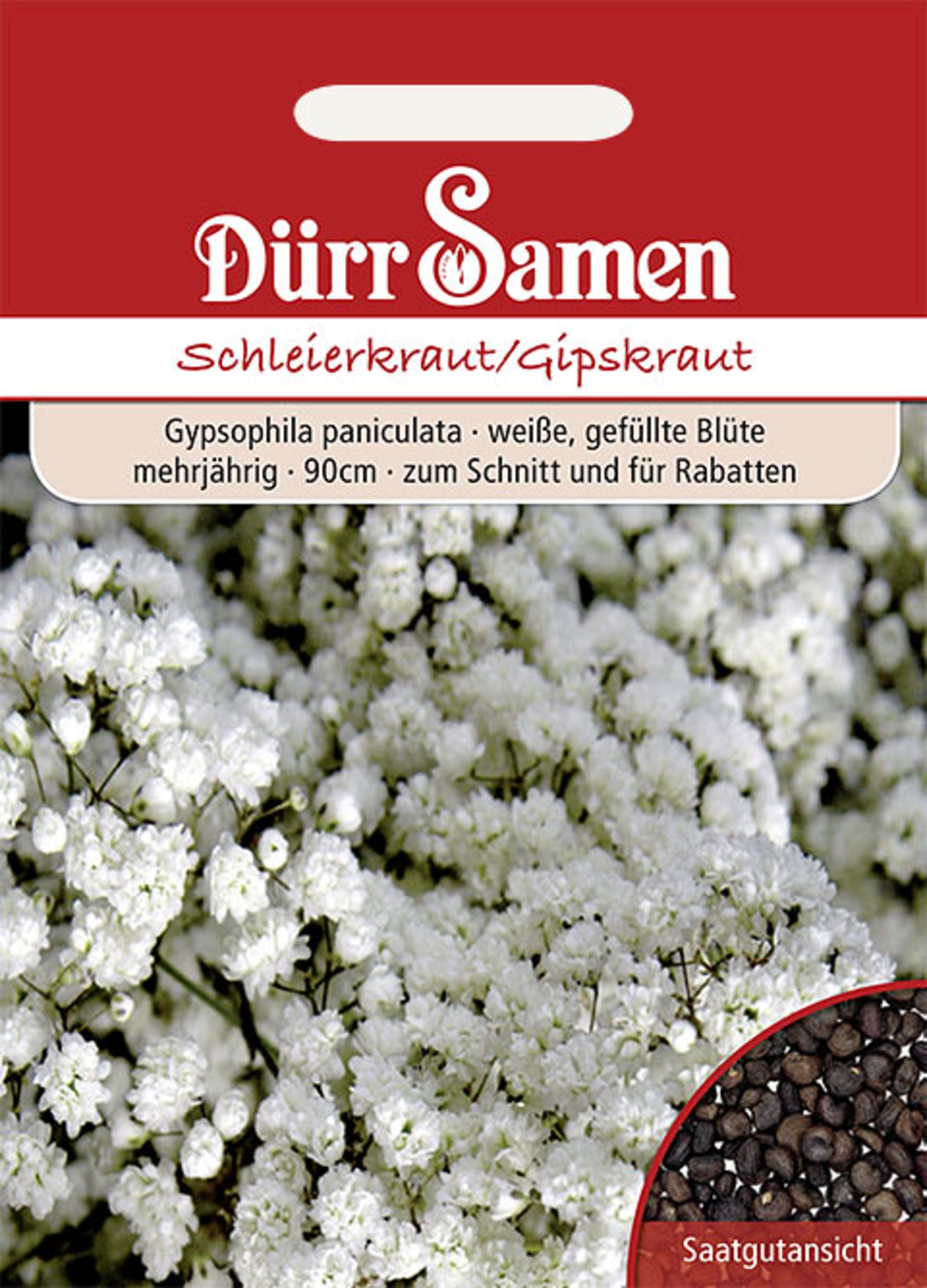 Schleierkraut gefüllt weiße Blüten mehrjährig 90 cm