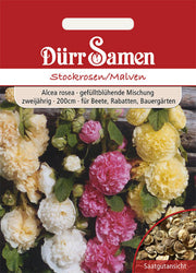 Stockrosen/ Malven zweijährig 200 cm