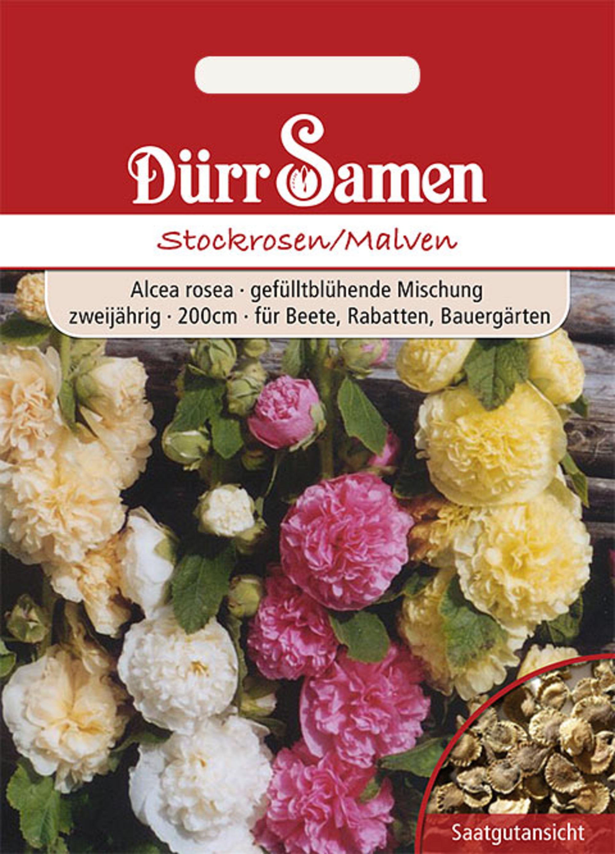 Stockrosen/ Malven zweijährig 200 cm