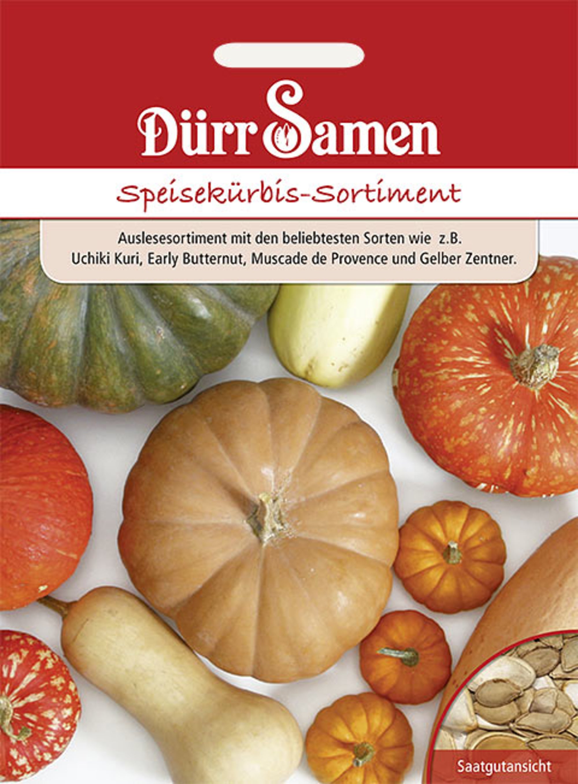 Speisekürbis-Sortiment