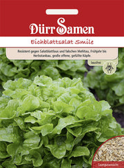 Eichblattsalat Smile