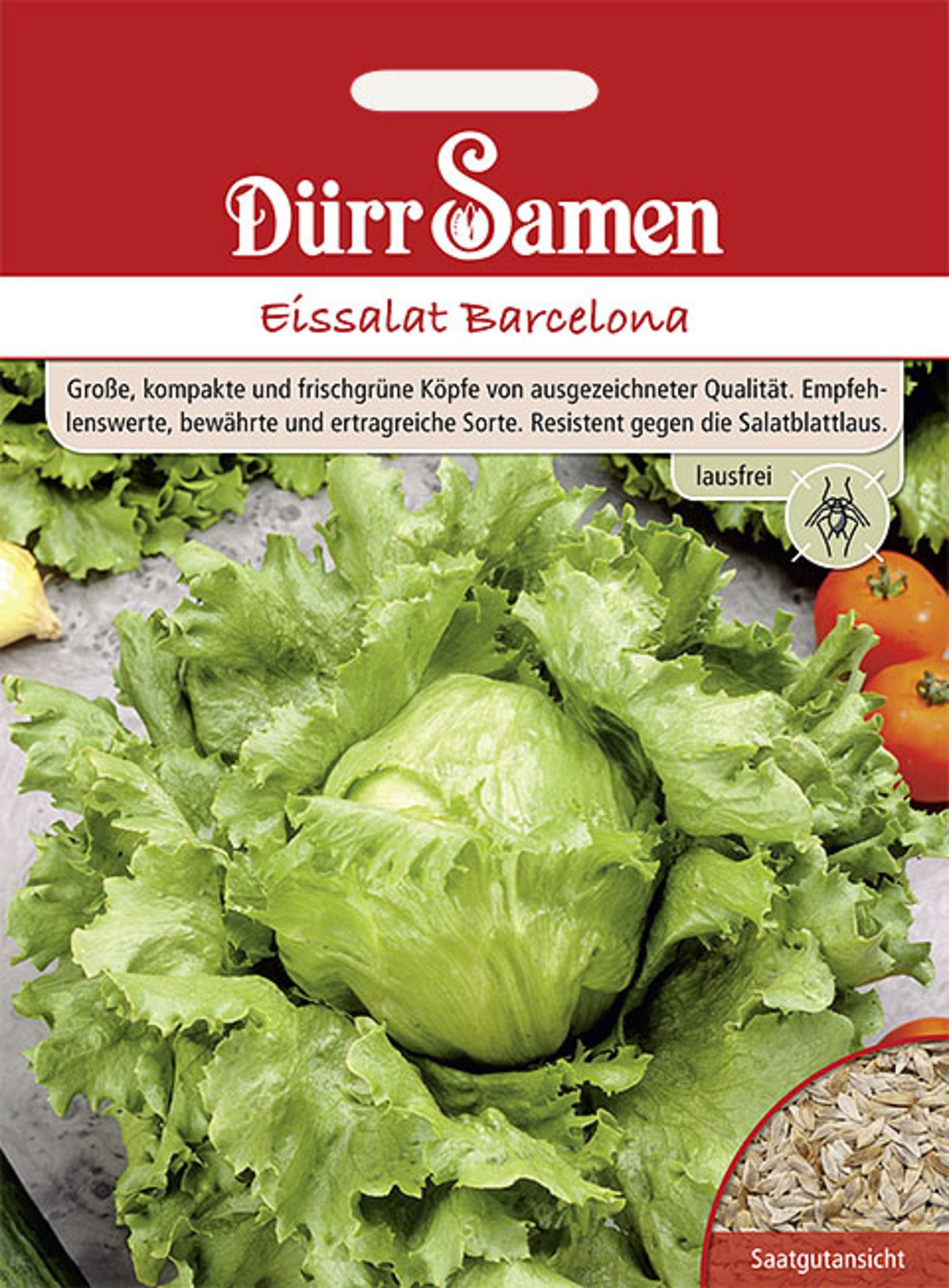 Eissalat Barcelona lausfrei