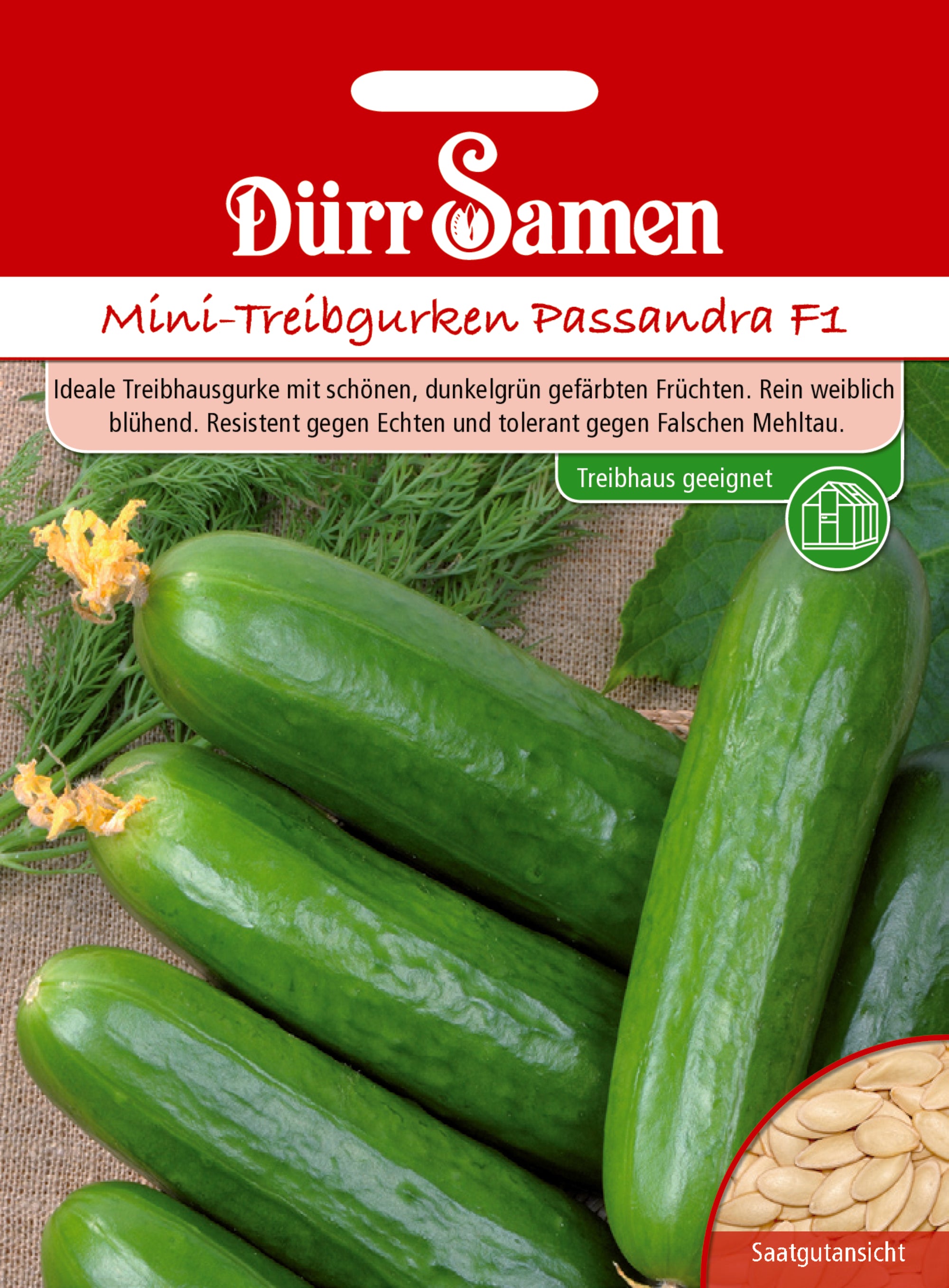 Mini-Treibgurken Passandra F1