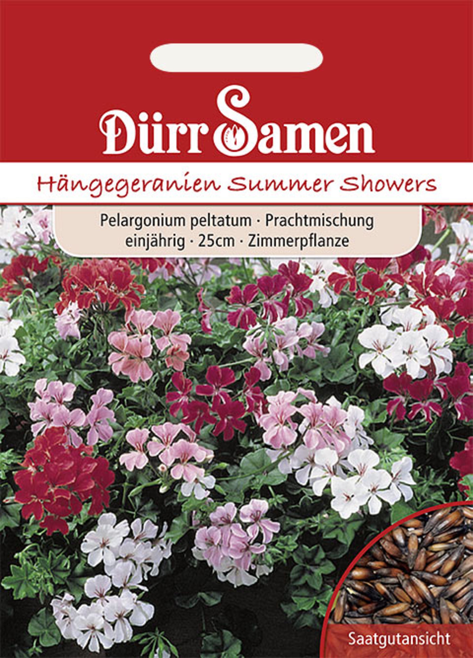 Hängegeranien Mischung F1 einjährig 25 cm