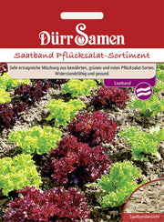 Saatband Pflücksalat-Sortiment