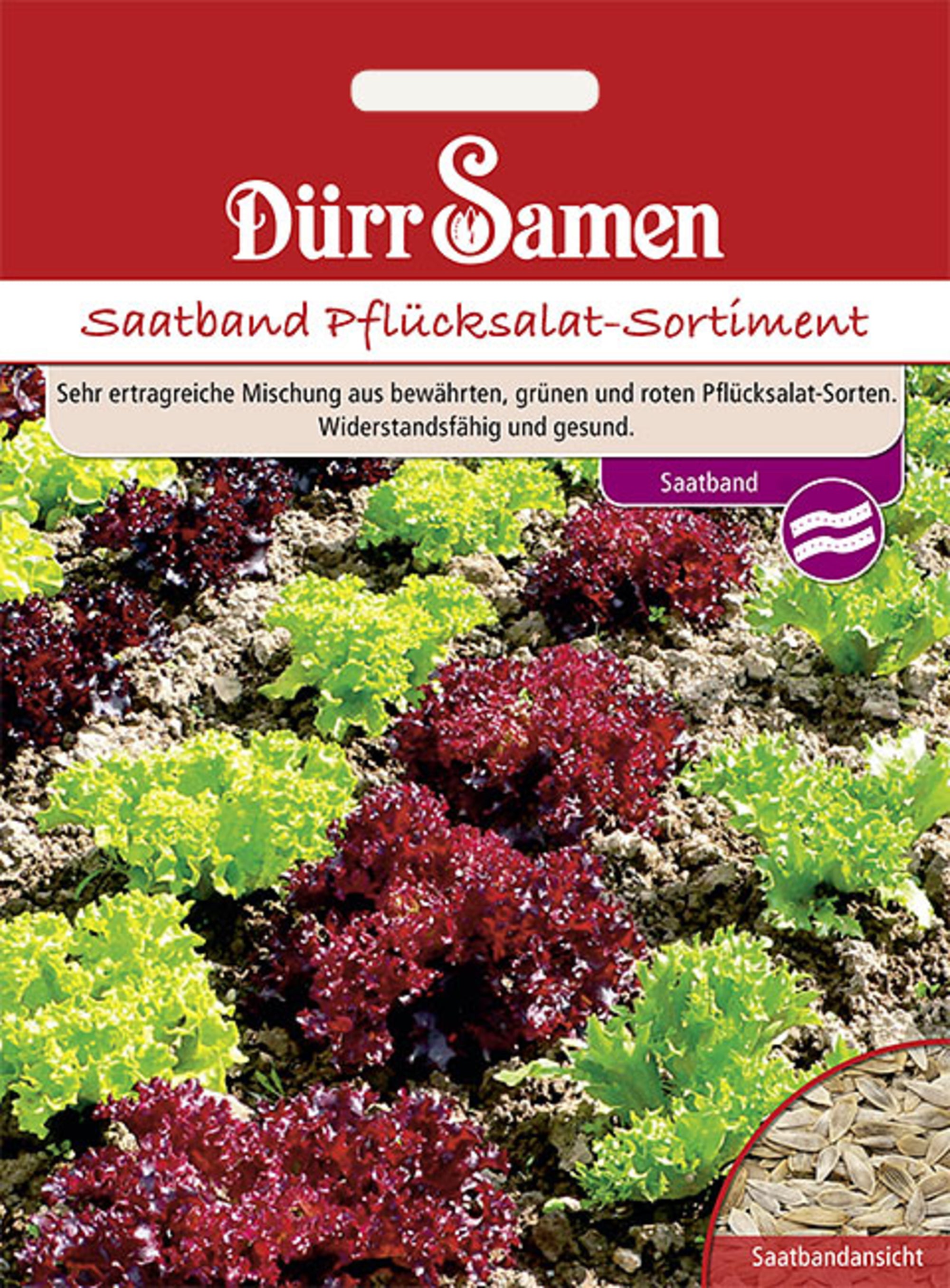 Saatband Pflücksalat-Sortiment