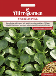 Feldsalat Polar (Vorteilspackung)