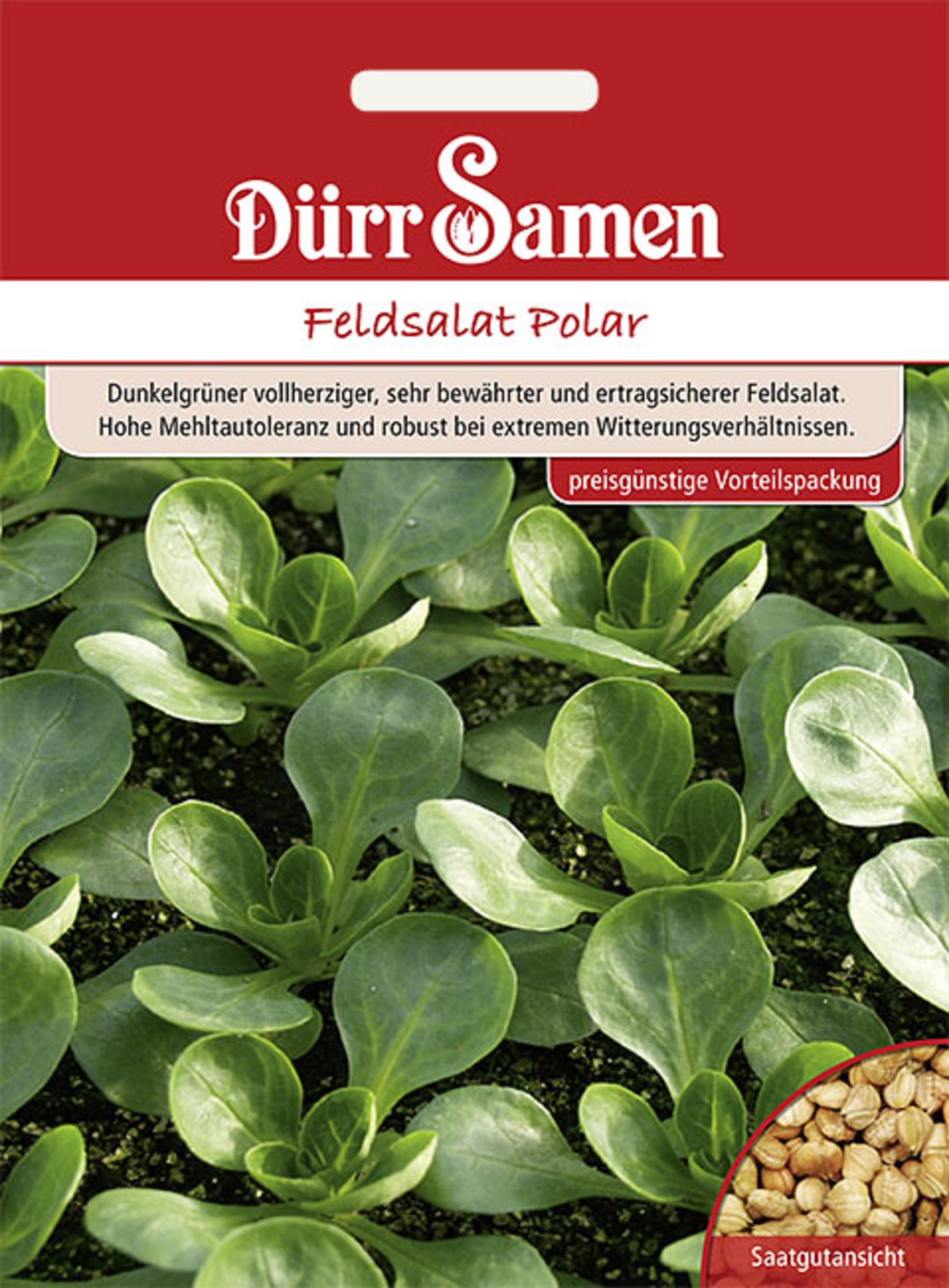 Feldsalat Polar (Vorteilspackung)
