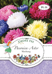 Paeonien-Aster Mischung
