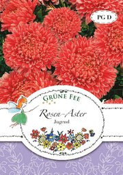 Rosen-Aster Jugend
