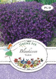 Blaukissen Violett