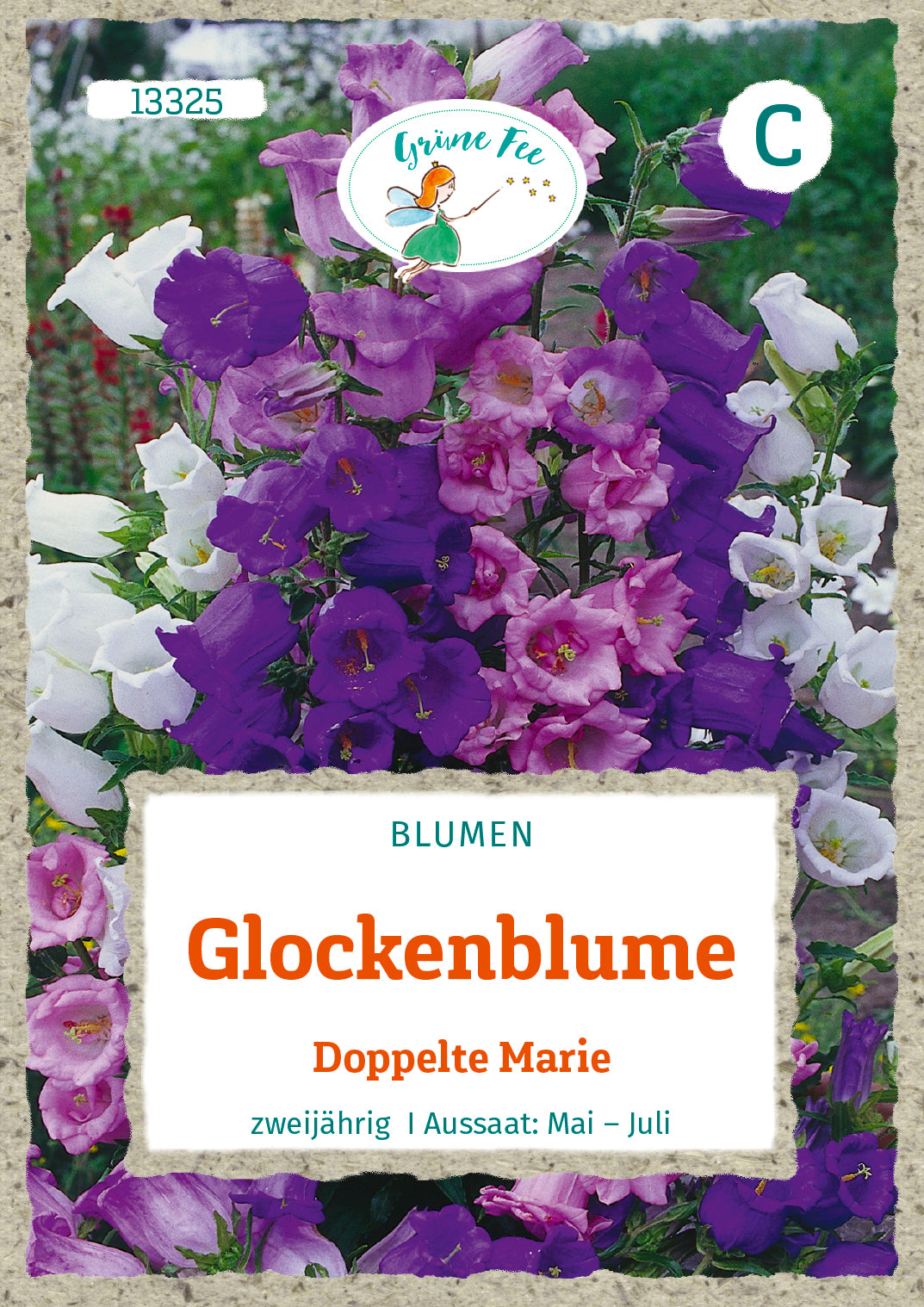 Glockenblume Doppelte Marie
