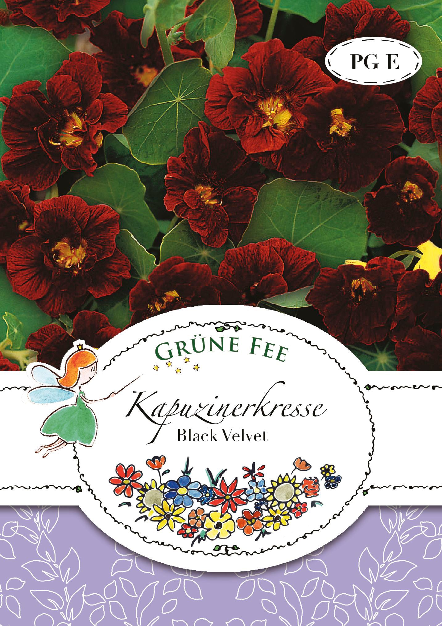 Kapuzinerkresse Black Velvet