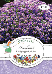 Steinkraut Königsteppich violett