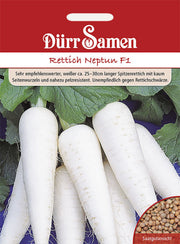 Rettich Neptun F1