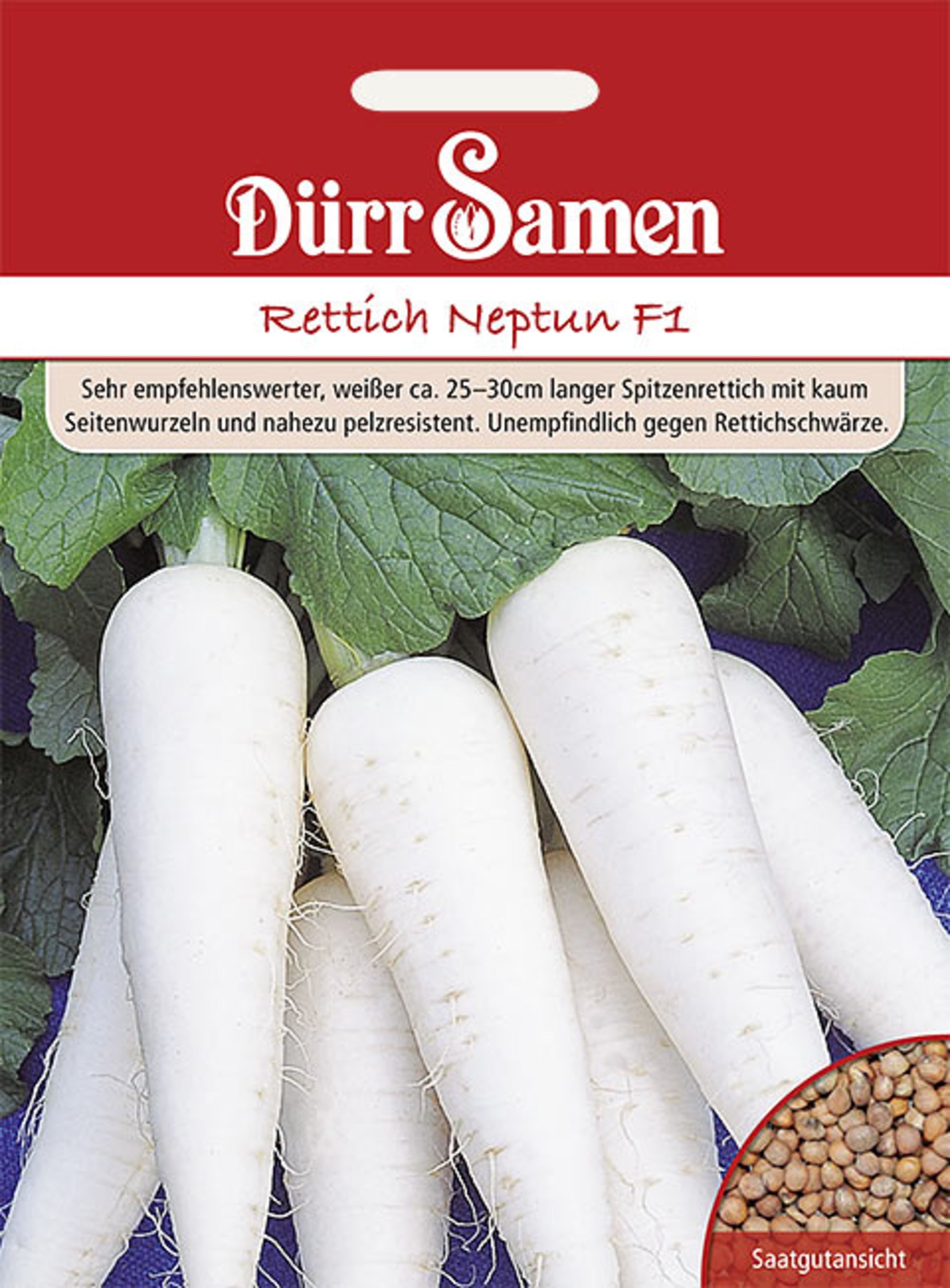 Rettich Neptun F1