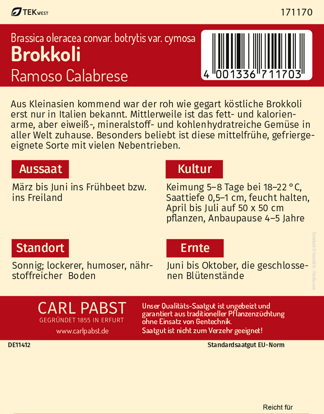Brokkoli grün & vieltriebig Ramoso Calabrese