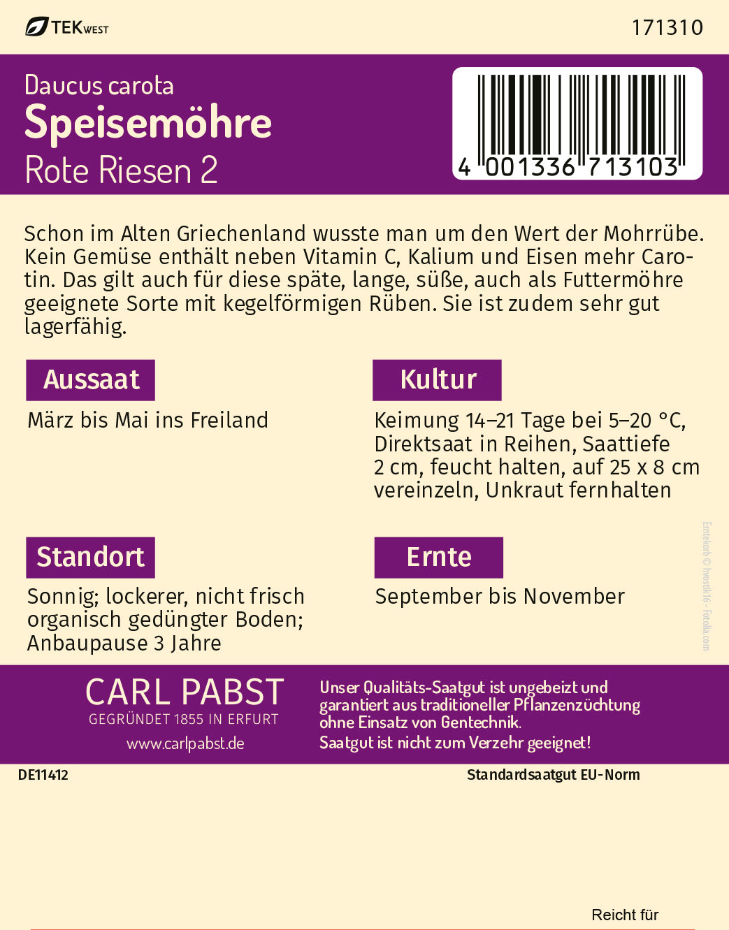 Speisemöhre spät & kegelförmig Rote Riesen 2