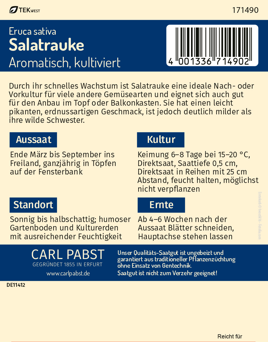 Salatrauke Aromatisch kultiviert