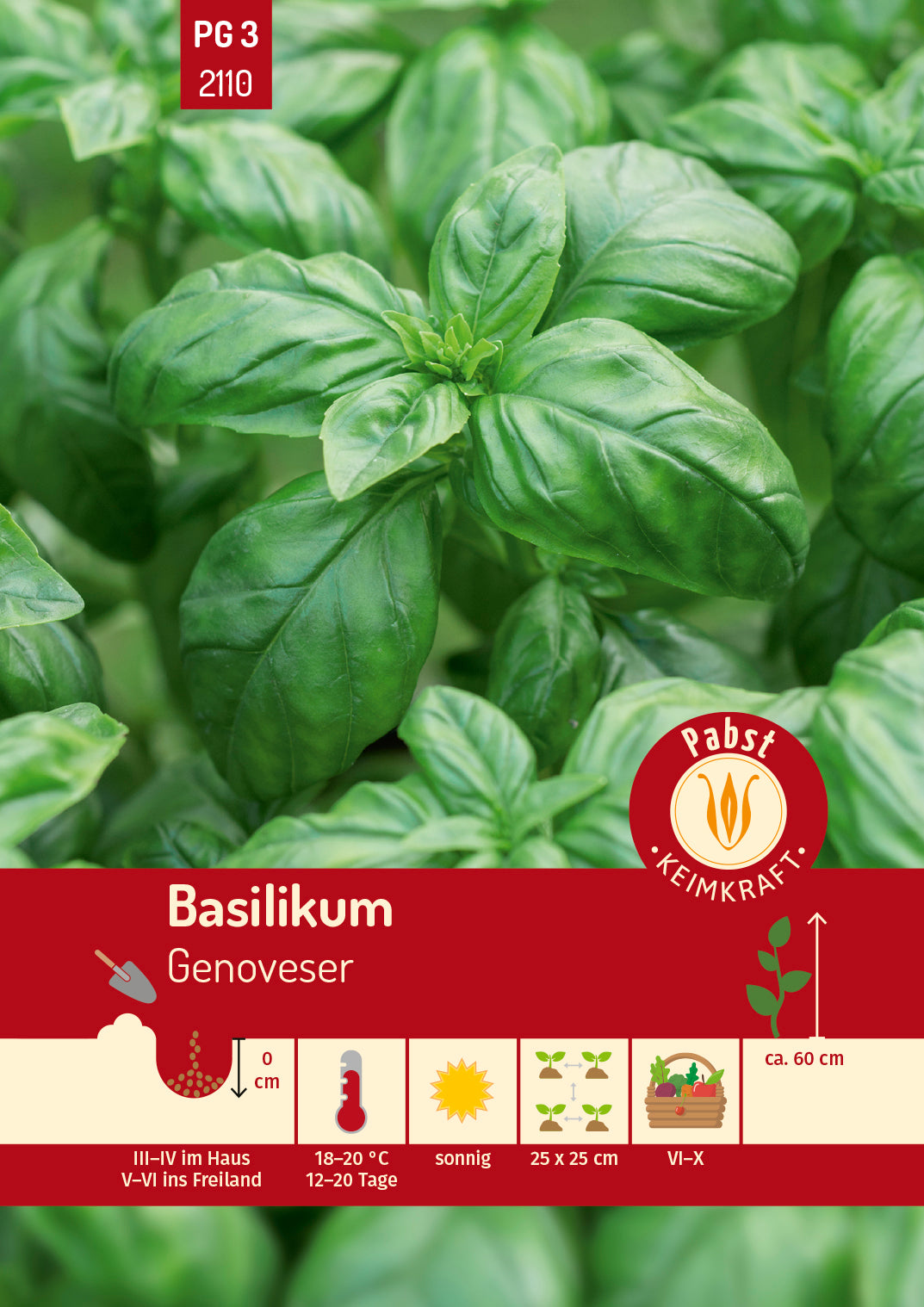 Basilikum Genoveser