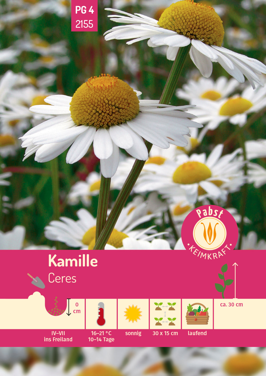Kamille Ceres