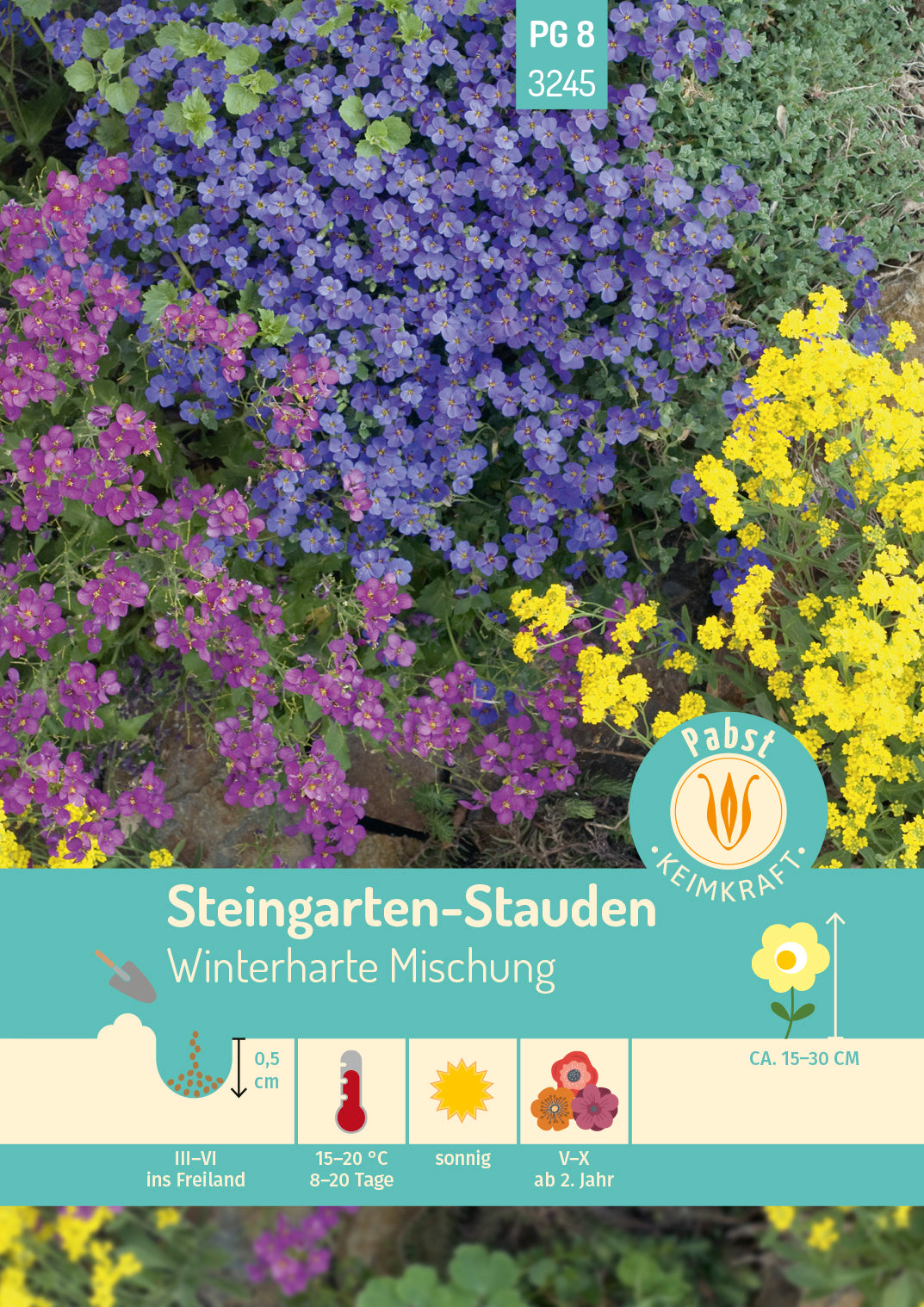 Steingarten-Stauden Winterharte Mischung