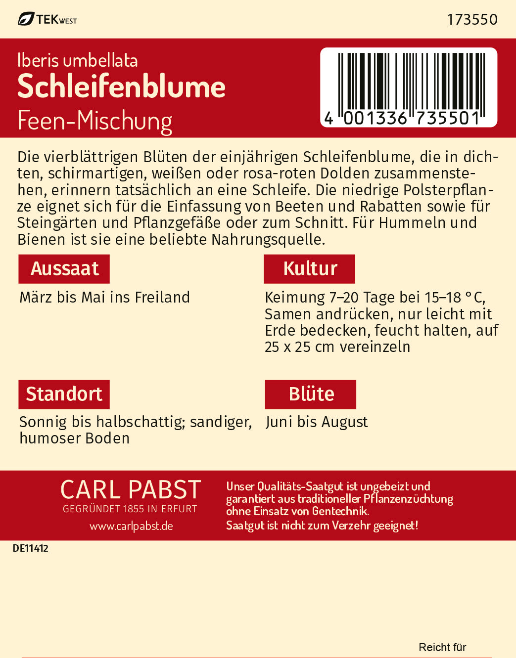 Schleifenblume Feen-Mischung