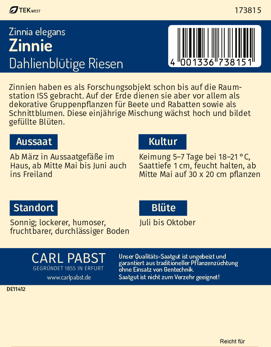 Zinnie Dahlienblütige Riesen