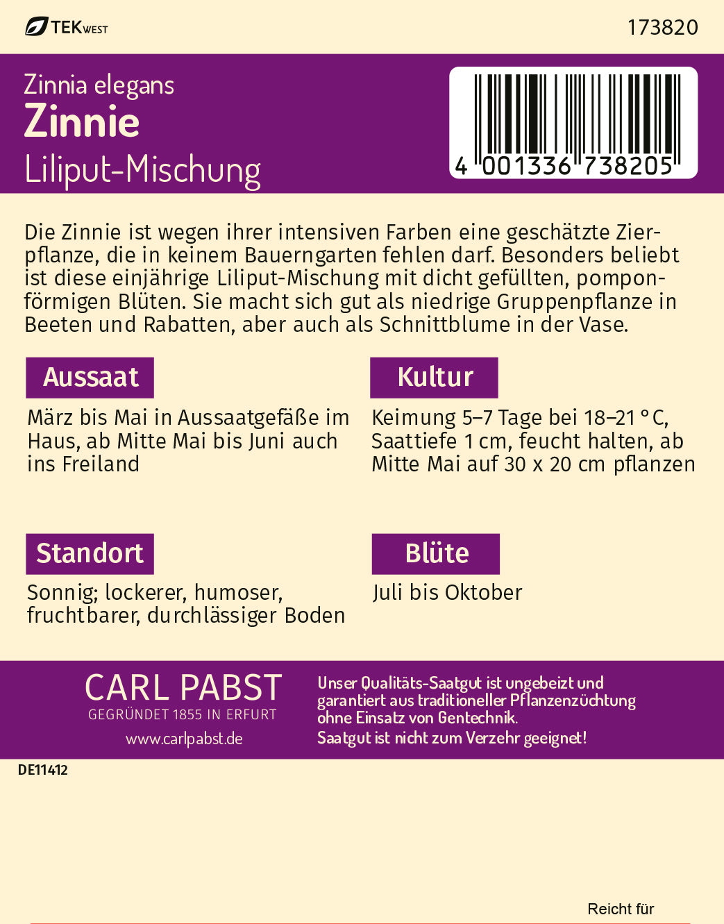 Zinnie Liliput-Mischung